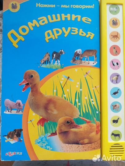 Домашние друзья с голосами животных