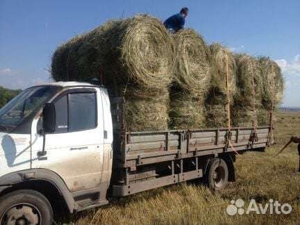 Сено.Зерно.Корма.Опил на подстилку.Обме на Еврокуб
