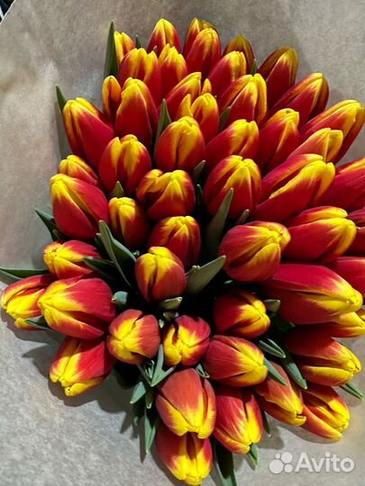 Тюльпаны к 8 марта