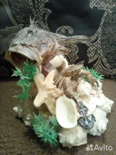 Инсталляция из ракушек для интерьера