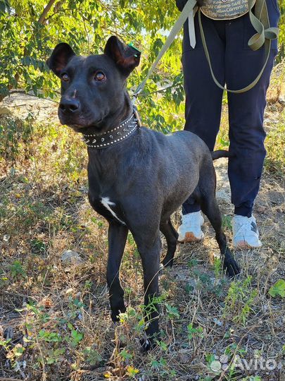 Фортуна ждет вас