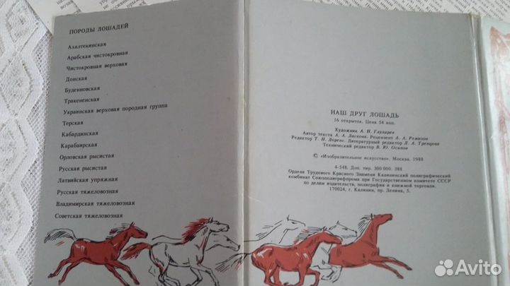 Набор открыток Наш друг лошадь 1988 г