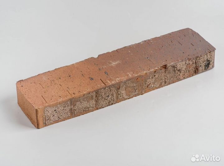 Ригель 35 сорт
