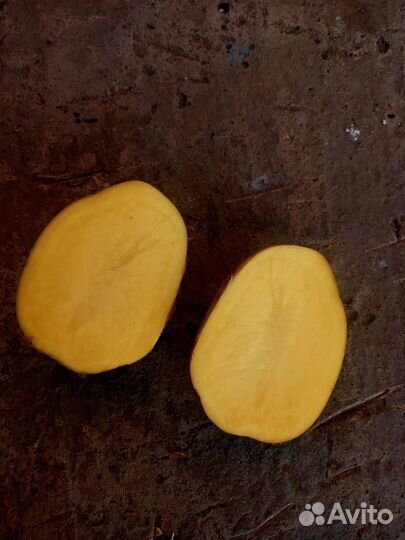 Продам Тамбовский картофель