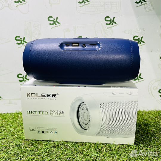 Портативная колонка Koller S100 (kgn03)