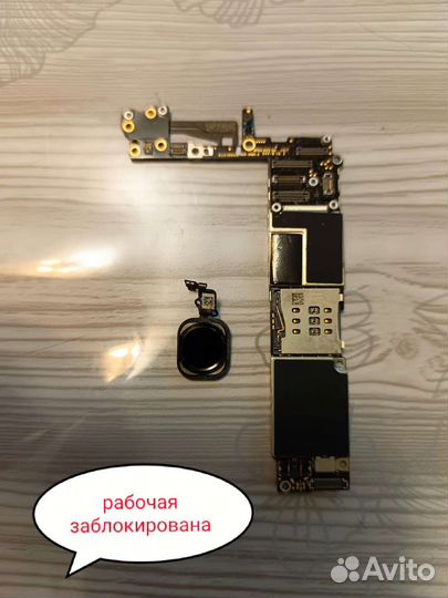 iPhone 6