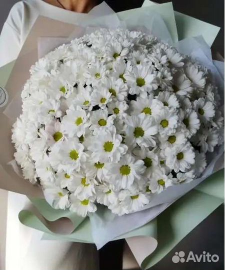 Букет из хризантем на 1 сентября