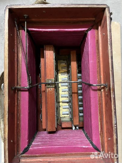 Гармонь Шибаева