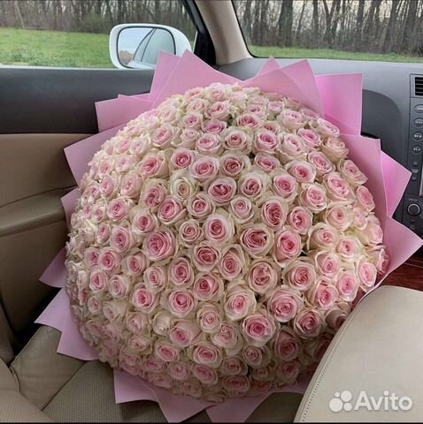 Розы оптом 51/101/151/201/251