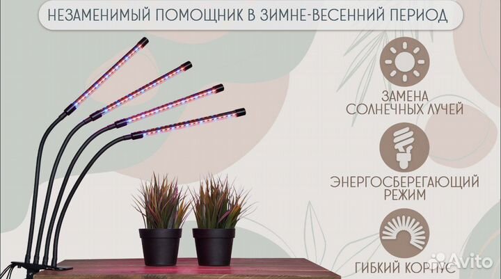 Фитолампа для растений