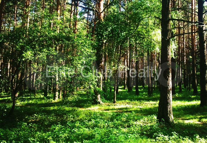 Участок 1,05 га (ИЖС)