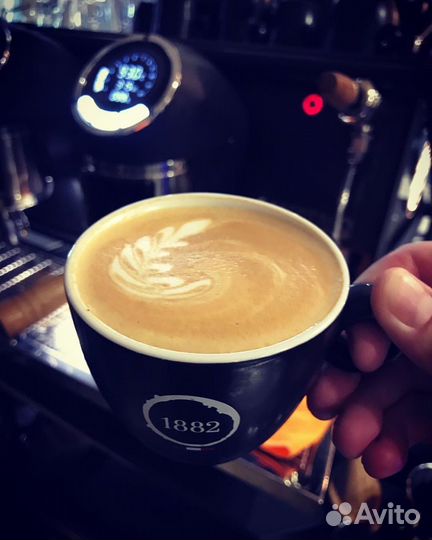 Обучение бариста, аудит