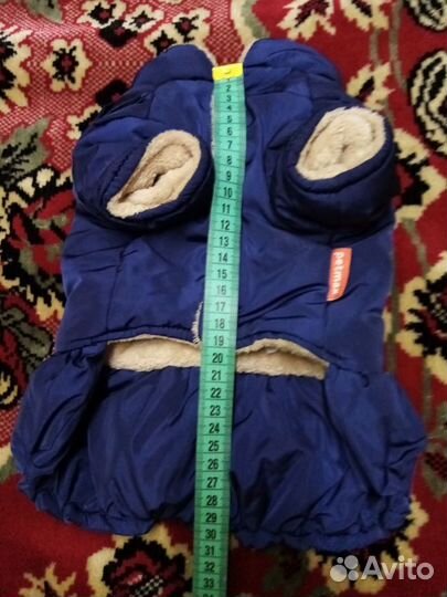 Одежда для животных