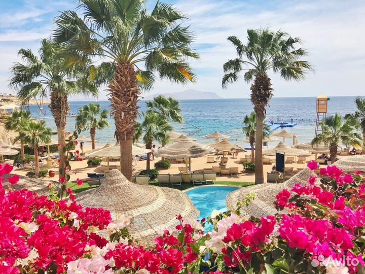 Египет из Казани