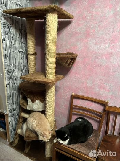 Когтеточка домик для кошки