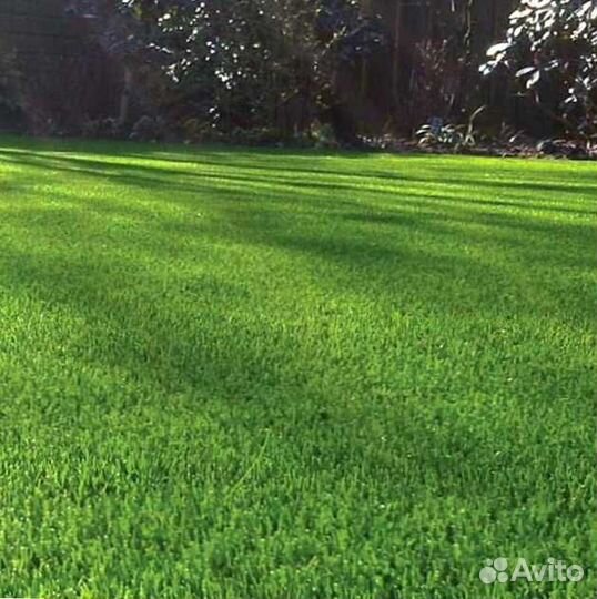 Газон. Рулонный газон