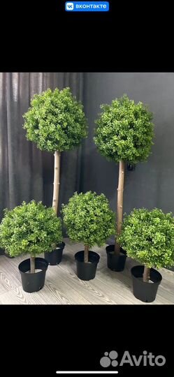 Искусственная туя