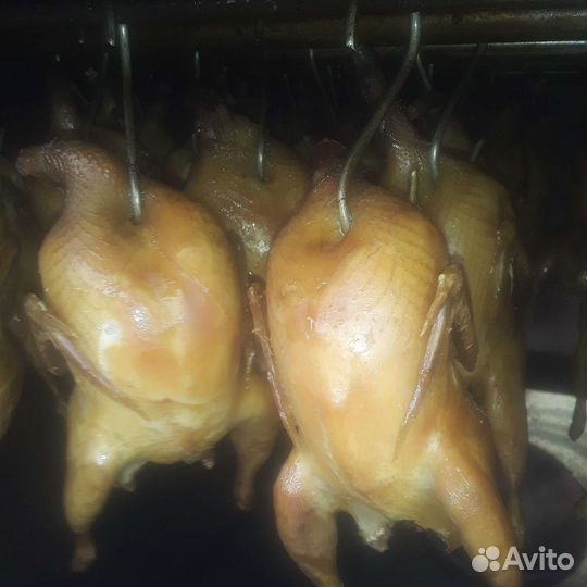 Мясо перепелов