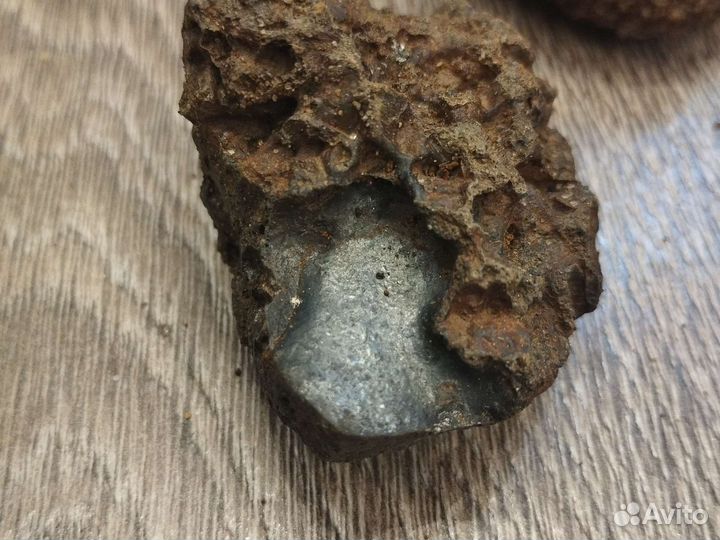 Окаменелости аммониты