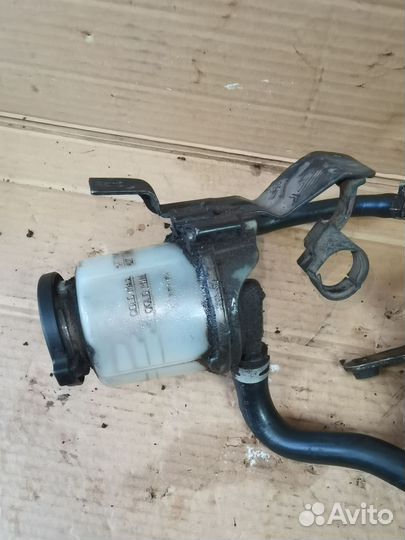 Бачек Гур Фав Вита