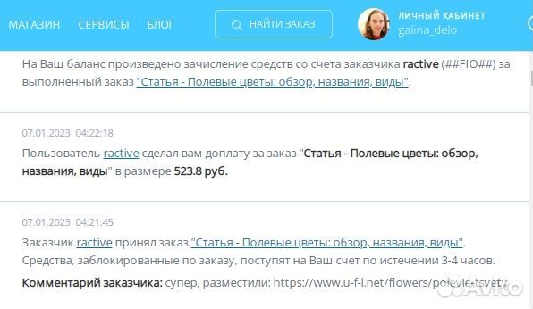 Хорошие тексты на заказ. SEO, LSI, художка