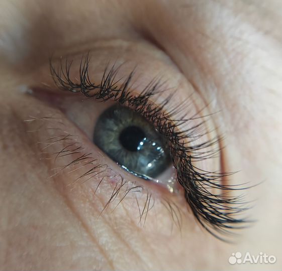 Ногти, ресницы, брови