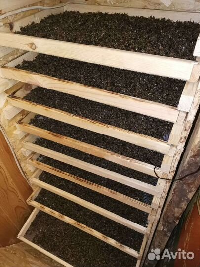 Пчелиный подмор