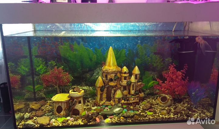 Аквариум