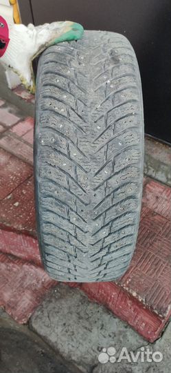 Nokian Tyres Hakkapeliitta 8 195/65 R15