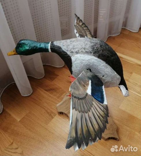 Селезень утки