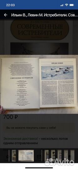 Ильин В., Левин М. Истребители