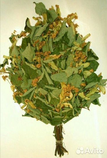 Веники для бани