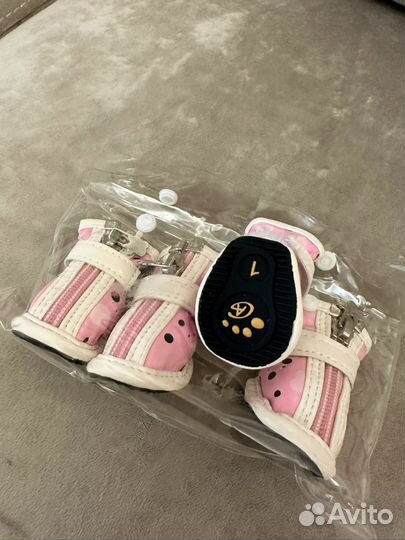 Ботинки для собак мелких пород. Осень, весна