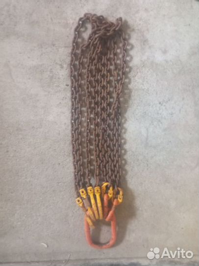 Паук цепной