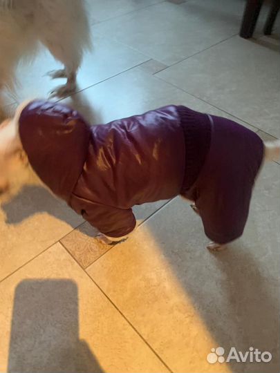 Пуховик для собак