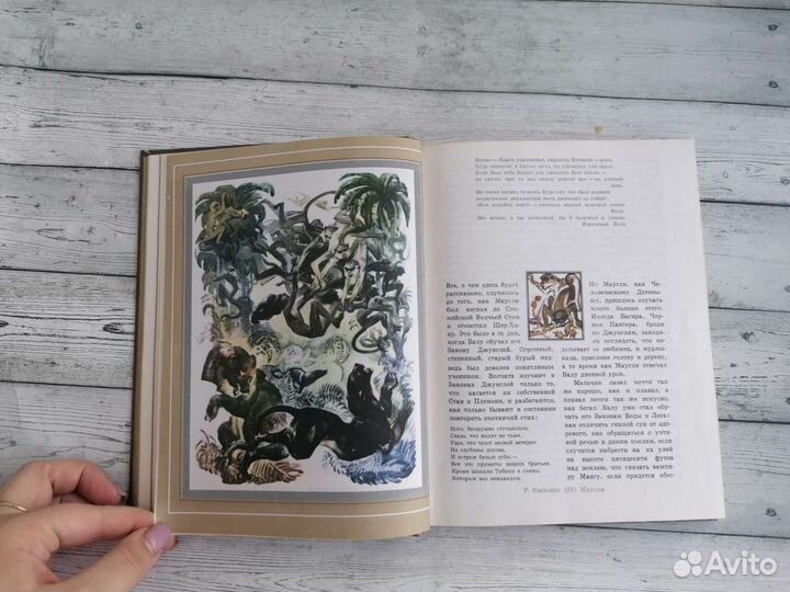 Р. Киплинг. Маугли