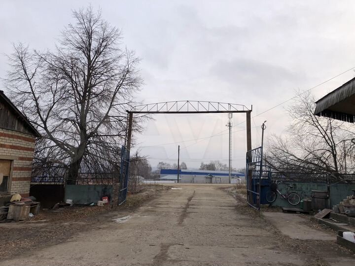 Помещение, 1000 м²