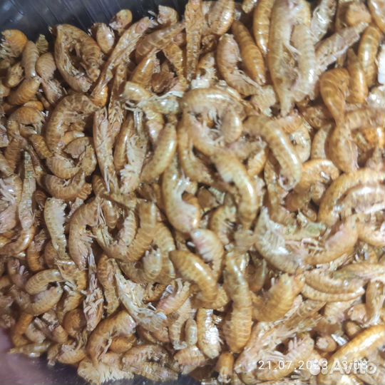 Корм для рыб