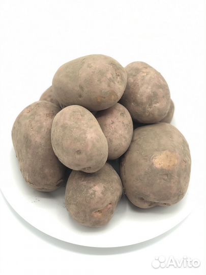 Картофель лук овощи