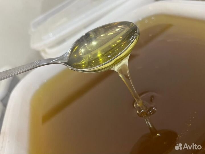 Мед свежий оптом майский