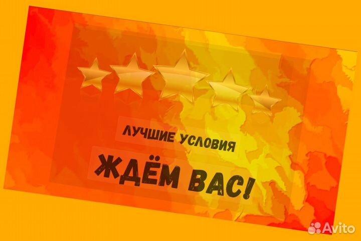 Наборщик заказов Без опыта Еженедельные выплаты