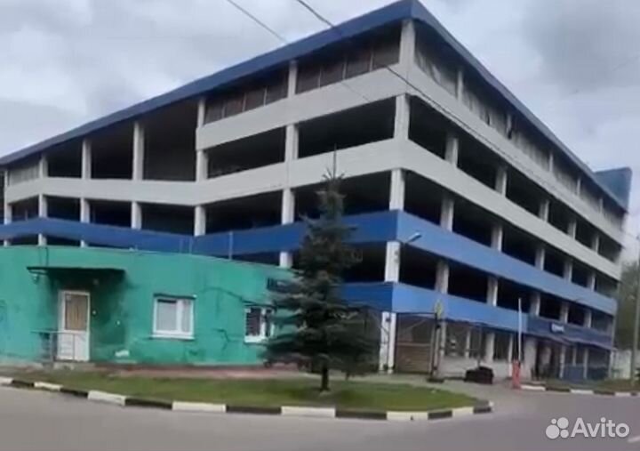 Marshal WinterCraft Ice WI31 205/55 R16 91T