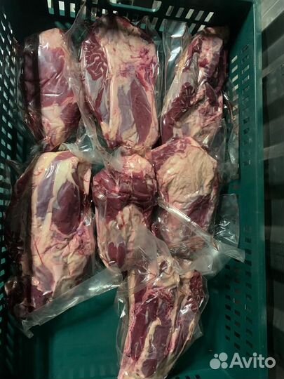 Мясо говядина