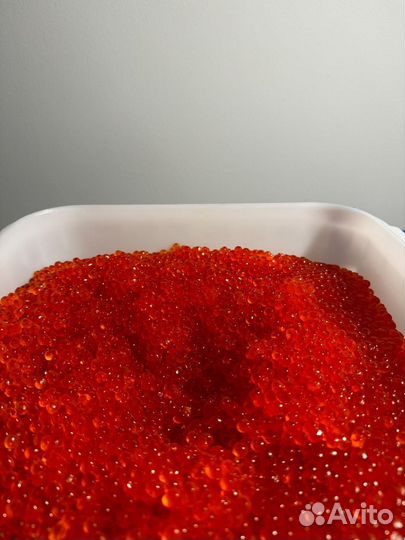 Том ям оптом