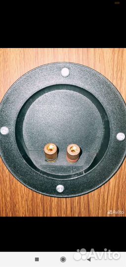 Колонки Revox corvette