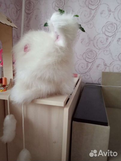 Шапка Зайка