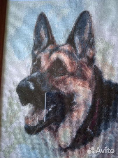 Овчарка. Вышивка крестиком