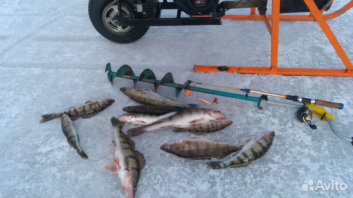 Мотосанки самодельные