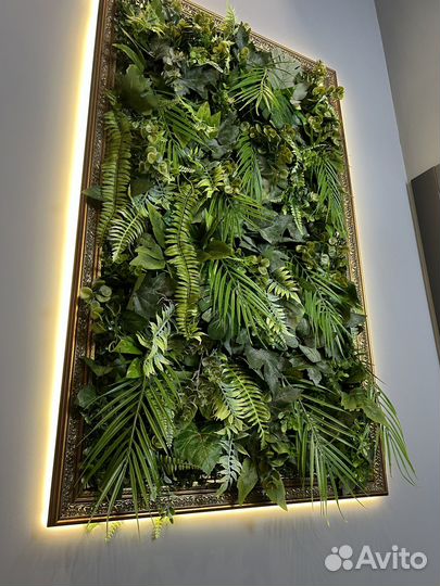 Фитокартина