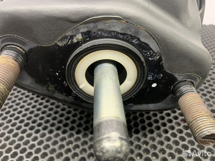 0244200918 Энергоаккумулятор задний